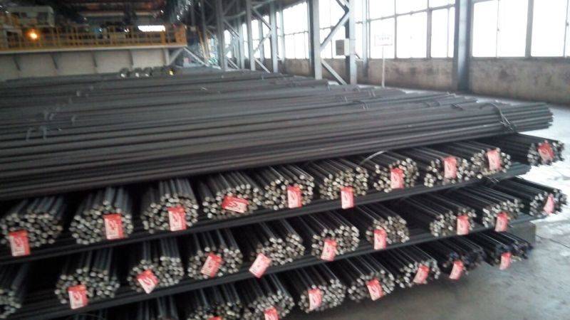 Multiple coils of steel wire rod, neatly stacked and secured with heavy-duty steel straps, ready for export in a clean warehouse.