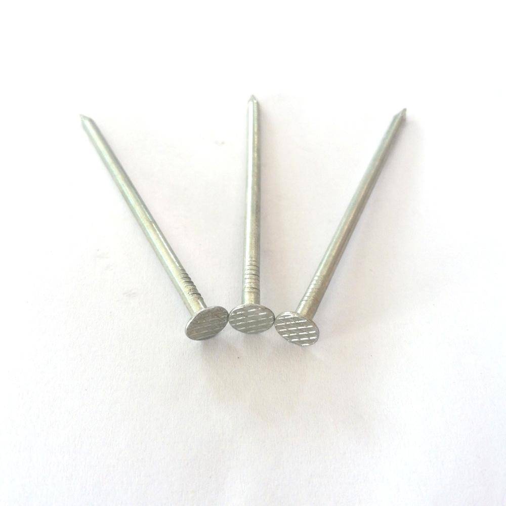 Three bright finish common nails showing head, shank and point details